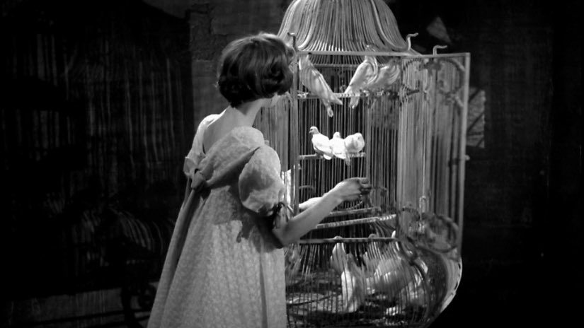 oldcomets's tweet image. &amp;lt;얼굴 없는 눈&amp;gt;(1960)의 엔딩 씬은 언제 봐도 아름답구나