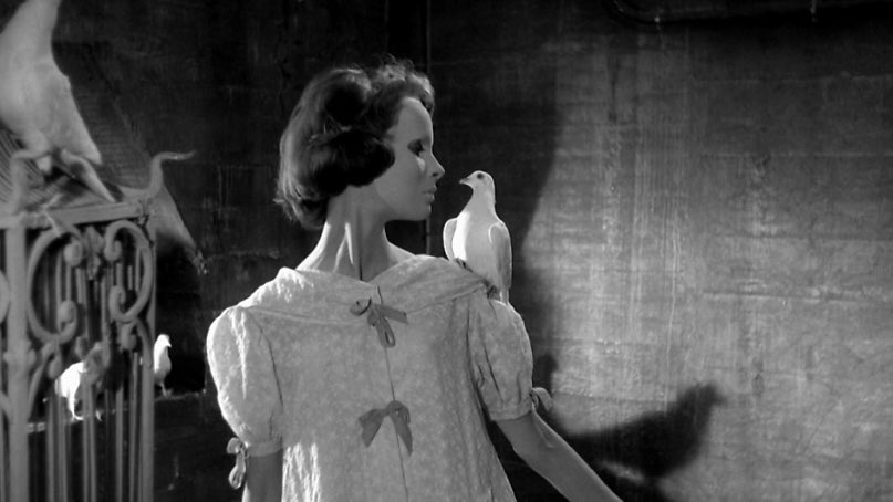 oldcomets's tweet image. &amp;lt;얼굴 없는 눈&amp;gt;(1960)의 엔딩 씬은 언제 봐도 아름답구나