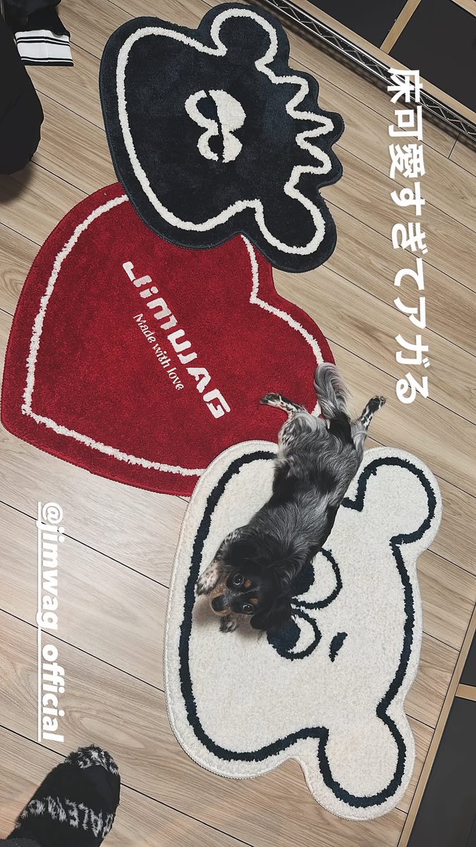 にこにこにこちゃん☺︎ (@__nicochi__) / Posts / X