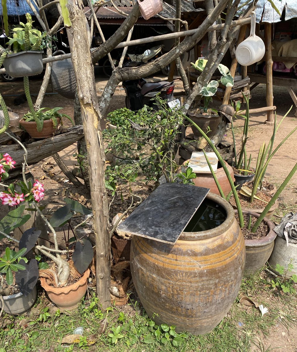 LSHTM_RAFT's tweet photo. We're developing FAQs from recent Aedes TechTalk on how urbanisation, #ClimateCrisis &amp; other factors are increasing risk of mosquito-borne arboviruses like #dengue #chikungunya

Which factors have most influence in your experience?

Read more:
https://t.co/S0tOll8QXr https://t.co/JaMAUeKVLz