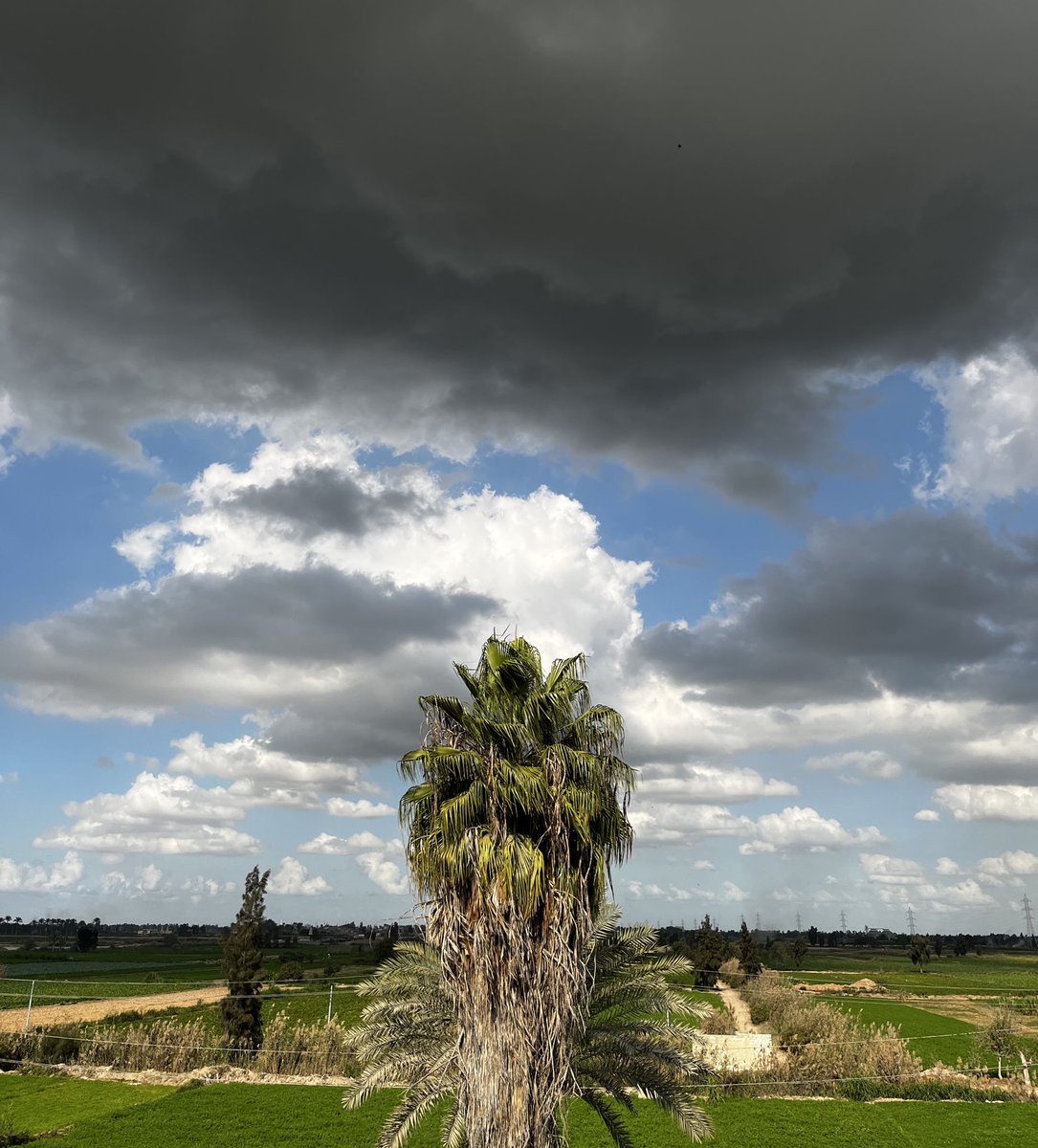 shimaaEALDeep's tweet image. 🤎”