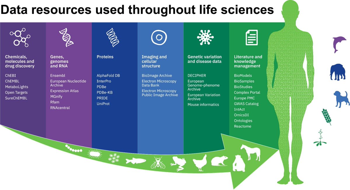 jsantoyo's tweet image. EMBL’s European Bioinformatics Institute (EMBL-EBI) in 2025. #Bioinformatics #Genomics #PublicBiomolecularData #EBI #NAR 
academic.oup.com/nar/advance-ar…