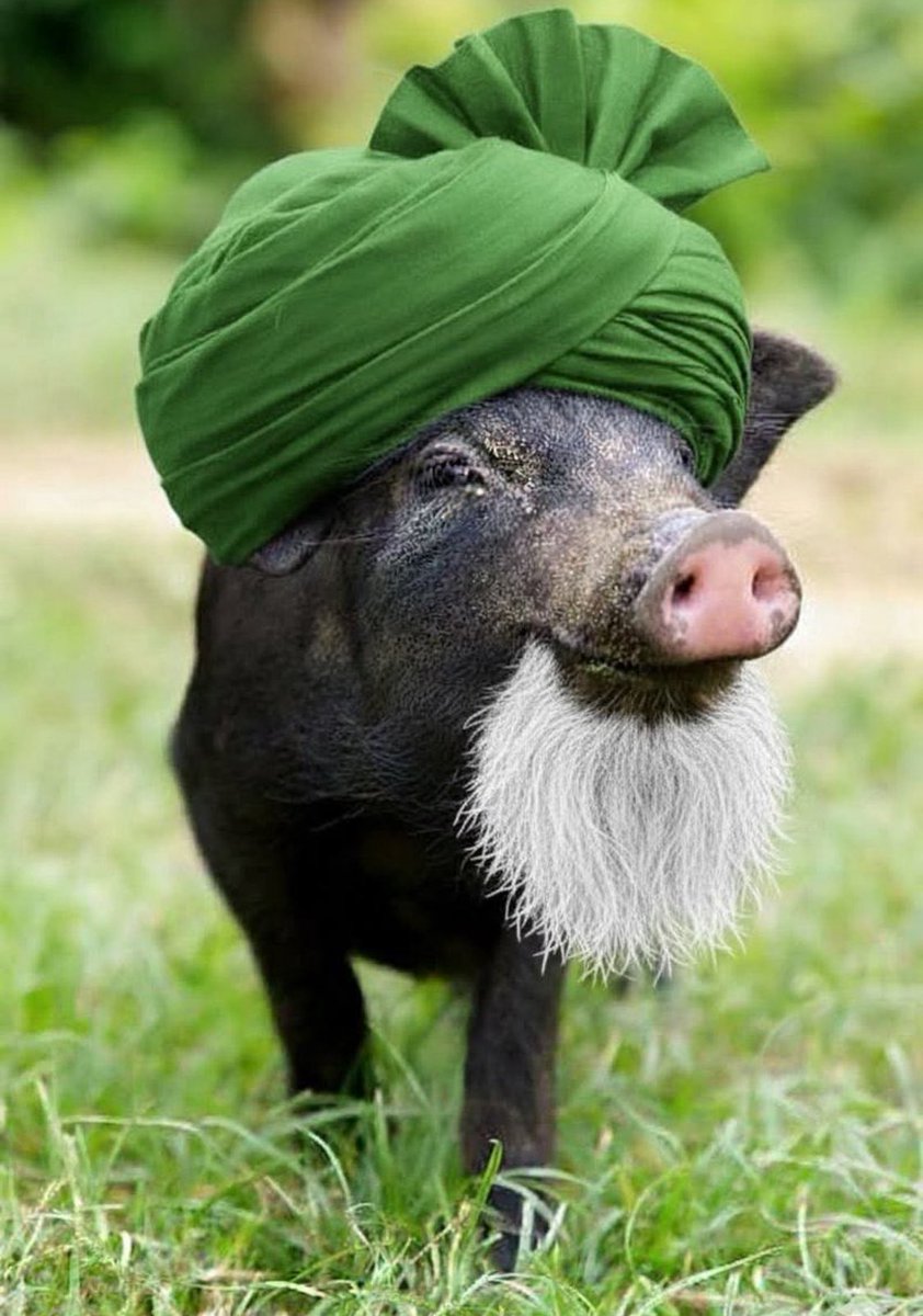 Hindustan belongs to hindu only !! Katue Abdul must read and remember that !!