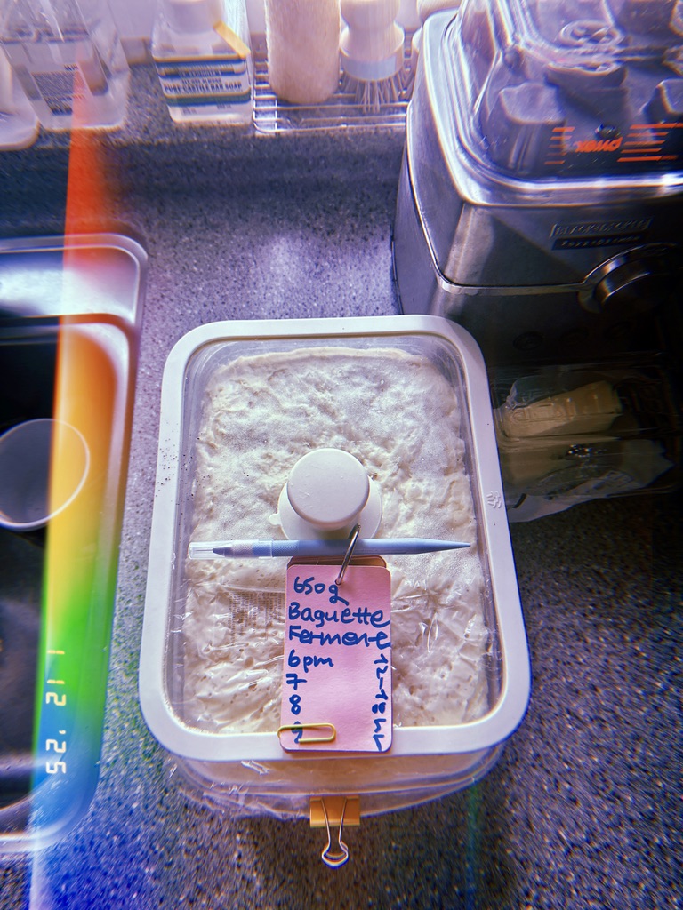 DrewVanilla_'s tweet image. 올해 마지막 달.  마지막 달의 첫날. 바게트로 시작해서 된장찌개로 마무리했다. 매월 1일과 매주 월요일은 schedule set up, 100 tasks, bullet diary 정리 등으로 하루가 더 빨리 간다. 오늘 바게트는 쪼금 작게 4개 만들어 뜨-거운 빵에 버터 무한 리필+에스프레소 for BF. #Dark3 #M1Dec2025