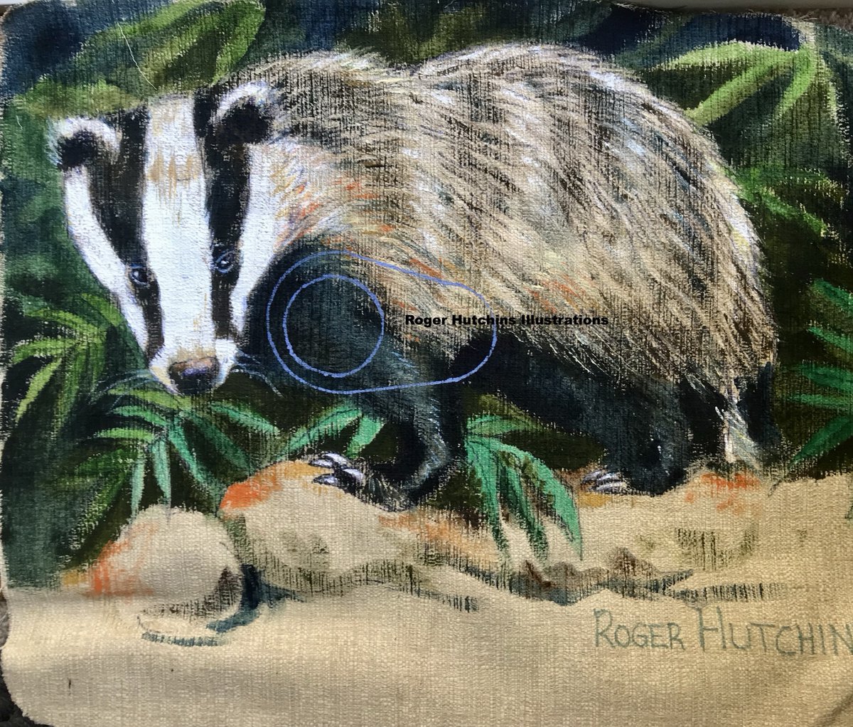 RogerHutchinsI1's tweet photo. Behind door number one on my advent calendar is this painting of a badger I completed for our archery club Magna Carta Field Archers.  It was painted in Acrylic on hessian, a much more durable material for archery targets. #Advent #archery #Christmas2025 #Christmas  #fieldarchery https://t.co/N2divC1ONO