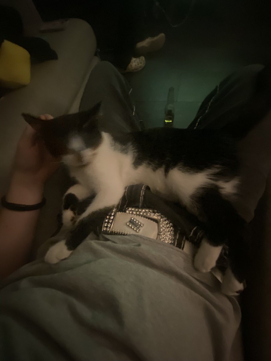 3m0's tweet image. meoww