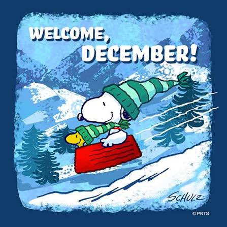 PS28BronxMtHopeSchool tweet media