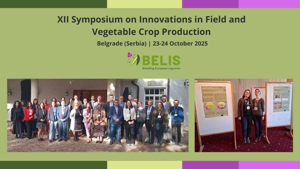 BELIS Project tweet media