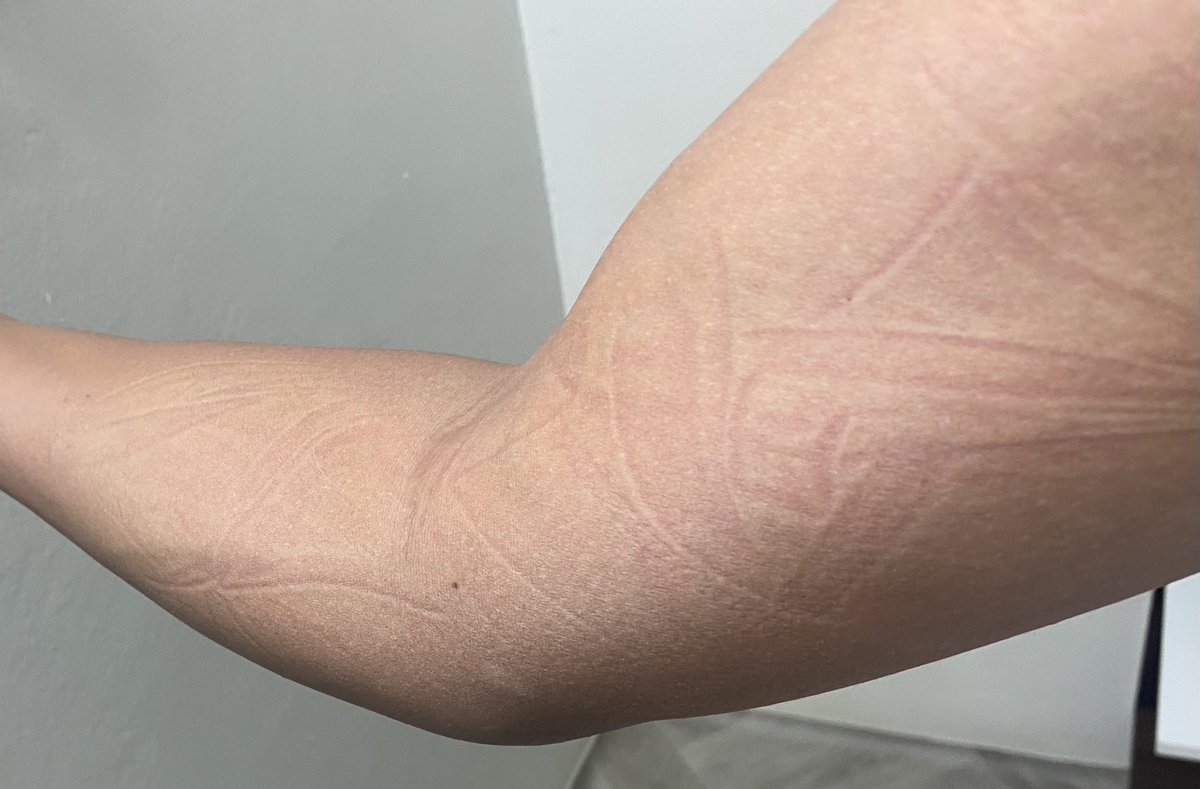 مدير العالم 🌎 tweet media