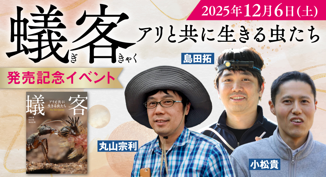 ☀️『#蟻客』著者3人に会えるDAY☀️今週末12/6土の発売記念イベントは11時回＆14時回ともに未だお席があります‼ ▶11時回チケットはこちらからstore.kadokawa.co.jp/shop/k/k200000… ▶14時回チケットはこちらからstore.kadokawa.co.jp/shop/k/k200000…