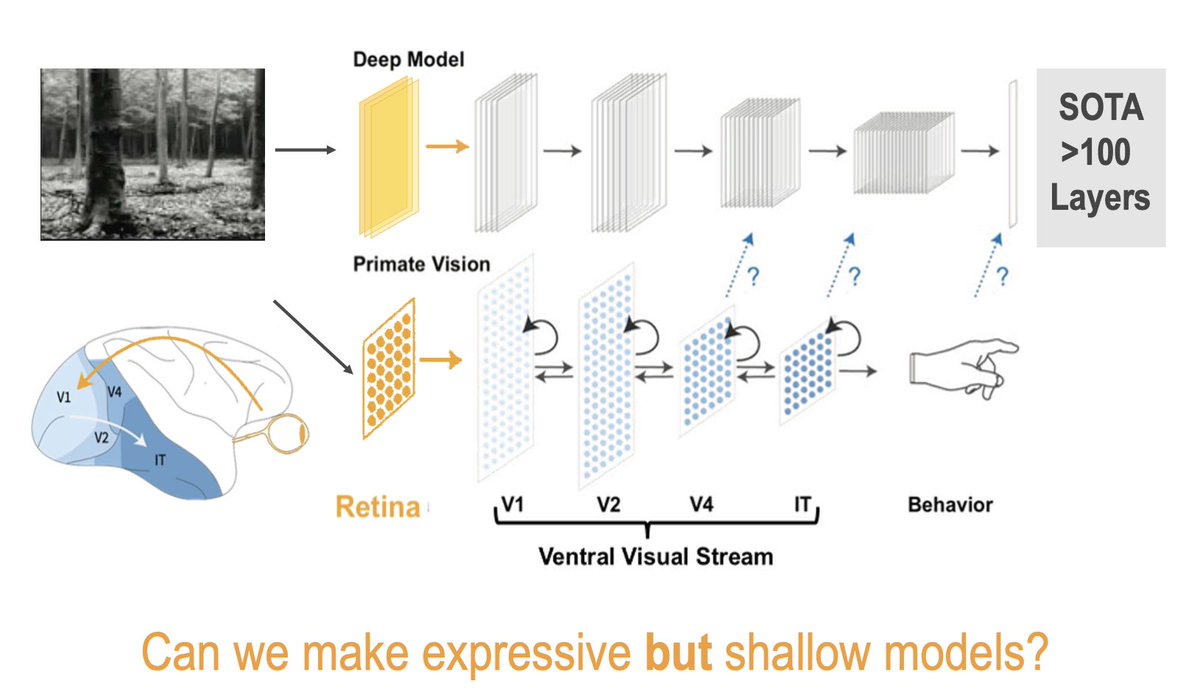 Simone Azeglio tweet media