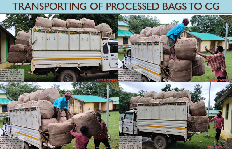 DPadampur's tweet photo. KL ACTIVITIES 2025: STORING, BUNDLING AND BAGGING, TRANSPORTING TO CG https://t.co/jGgNc0vjn0