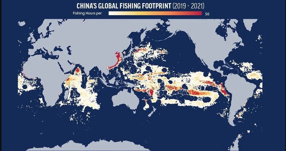NguyenHo1096438's tweet image. You can see for yourself what havoc #China is wreaking! 

Overfishing is China's forte.