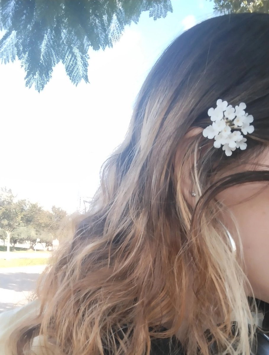 itsshirzohar's tweet image. קטפתי לי פרח 
והנחתי לי מילים טובות 
על הלב ועל הראש ועל האוזן 

את תהיי בסדר, באמת 
את עושה מה שצריך