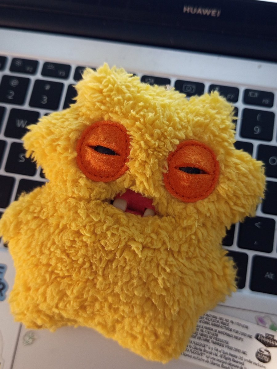 guniniyh's tweet photo. guys my taenini just came in the mail, is he supposed to look beat up https://t.co/yYZImRD7FD