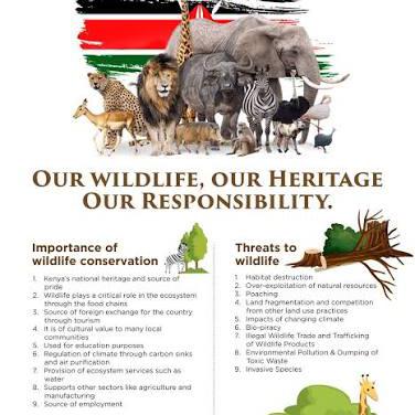 MwalimuWaChem's tweet photo. Let's protect our heritage
#IstandWithKanga
#KWSReforms https://t.co/9ifkK3fdSi