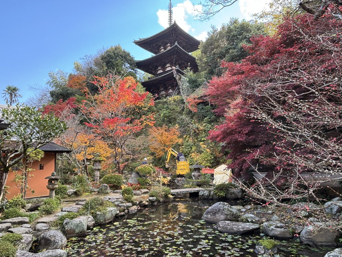 国指定史跡 中之坊庭園の改修工事が進められております
ただいまは池の水漏れの原因と考えられる箇所の地盤を修理工事しています👷
taimadera.org/news/teien-kan…
ご迷惑をおかけしますがご協力をお願いします🙇