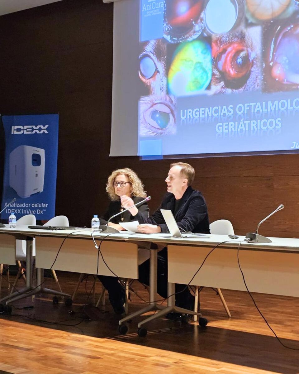 ColegioVet.Alicante tweet media