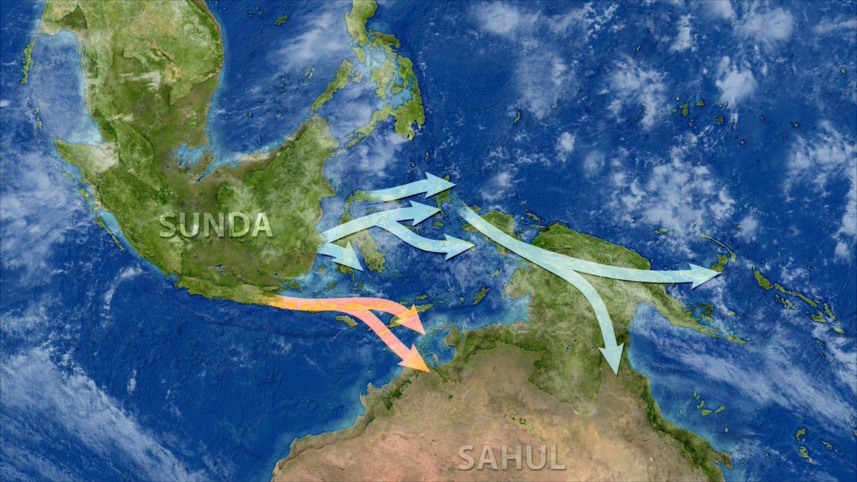 unisouthampton's tweet image. Aboriginal Australians and New Guineans descend from settlers who migrated south, 60,000 years ago, to the ancient supercontinent of Sahul.

Our maritime archaeologists with @HuddersfieldUni used DNA techniques to reach their findings.

Read more 👉 southampton.ac.uk/news/2025/11/a…