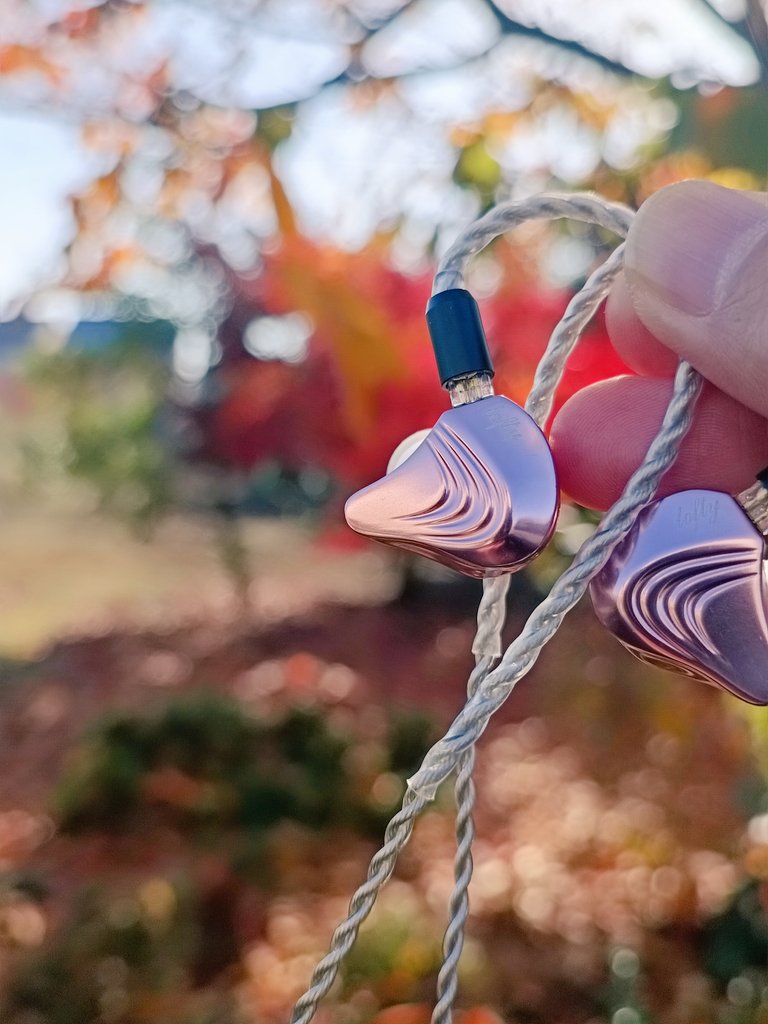 へむじー🍯 (@hemogy2) / Posts / X