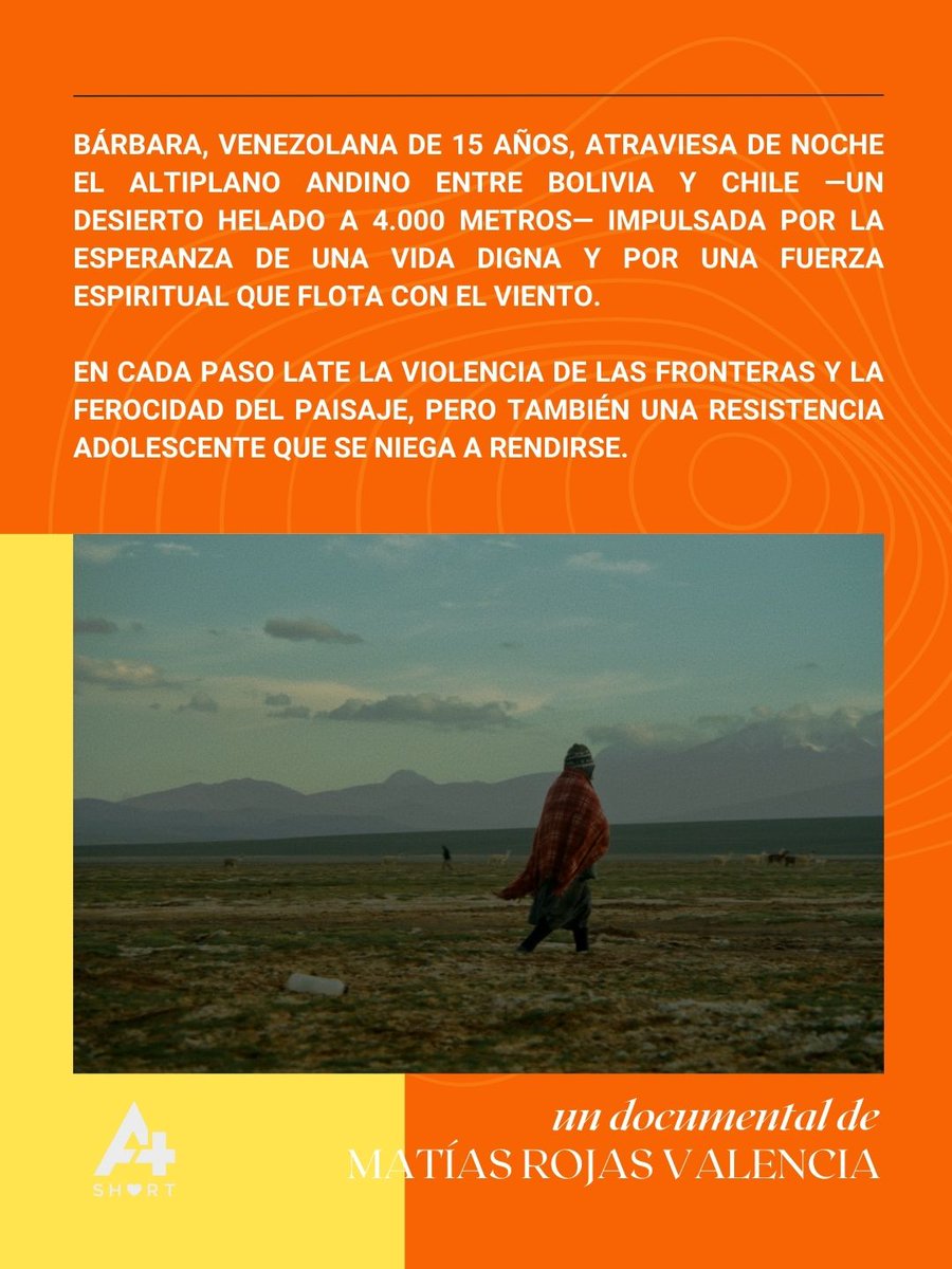 amashortfilms's tweet photo. 📼 NUESTRO CATÁLOGO - OUR CATALOGUE
#AtardecerEnAmérica #SunsetOverAmerica: https://t.co/aVKhfUJOcc https://t.co/nmBJPIXws7