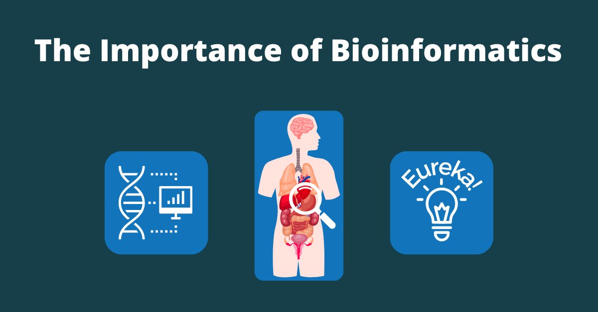fiosgenomics's tweet image. 🔬 Bioinformatics is essential but often overlooked.
From personalised medicine to crop science, it&apos;s driving innovation in biology &amp;amp; health.
👉 Read our blog on how #bioinformatics impacts everyday life👈:
fiosgenomics.com/the-importance…
#Genomics #Biotech #DataScience #LifeSciences