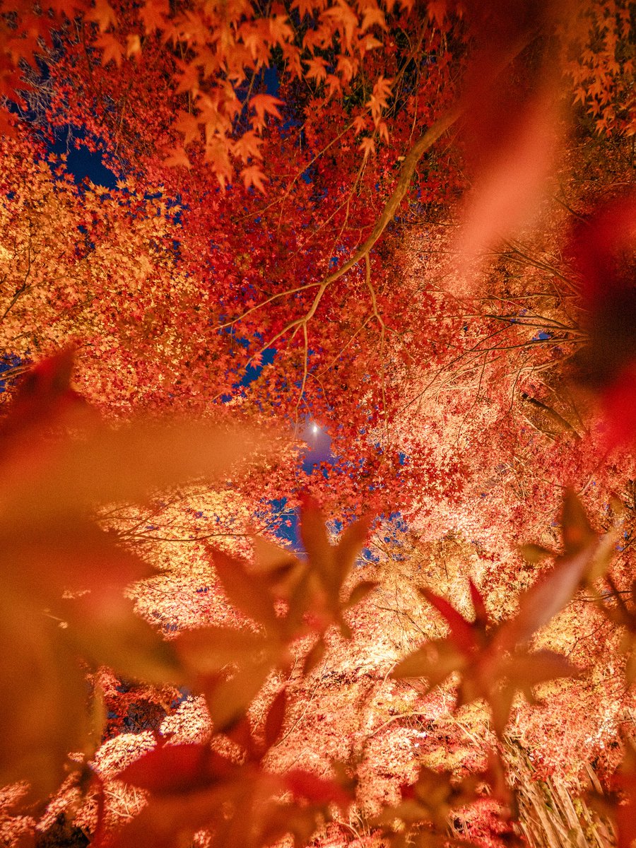 🐰𝚁𝚒𝚗𝚛𝚒𝚗…📸♥️𓂃ꕤ︎︎·͜· (@7725rirarin) / Posts / X