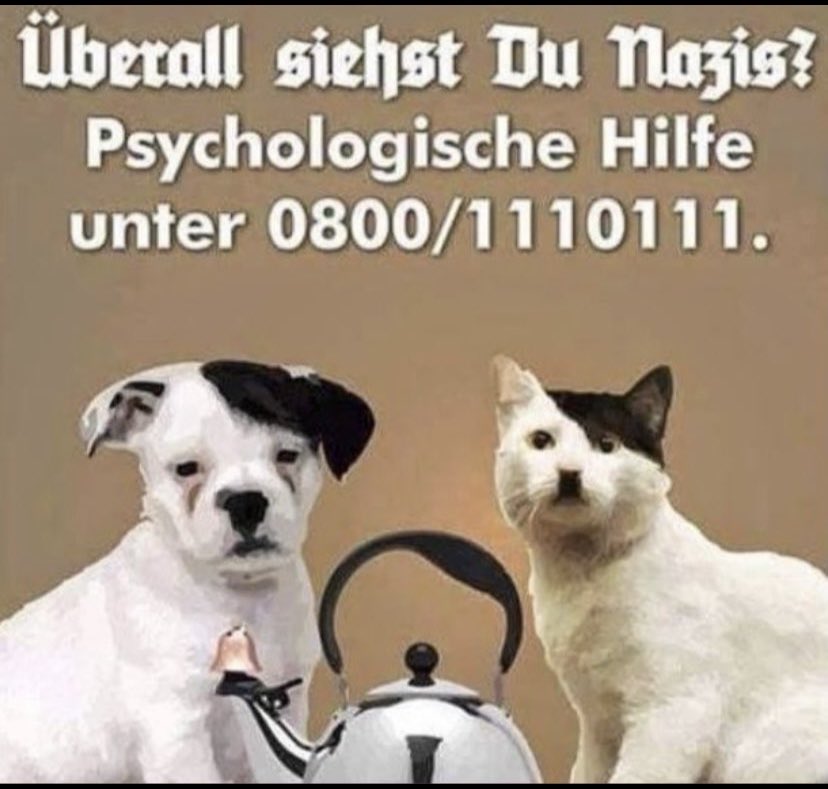 Achijah Zorn (@achijahzorn) on Twitter photo 