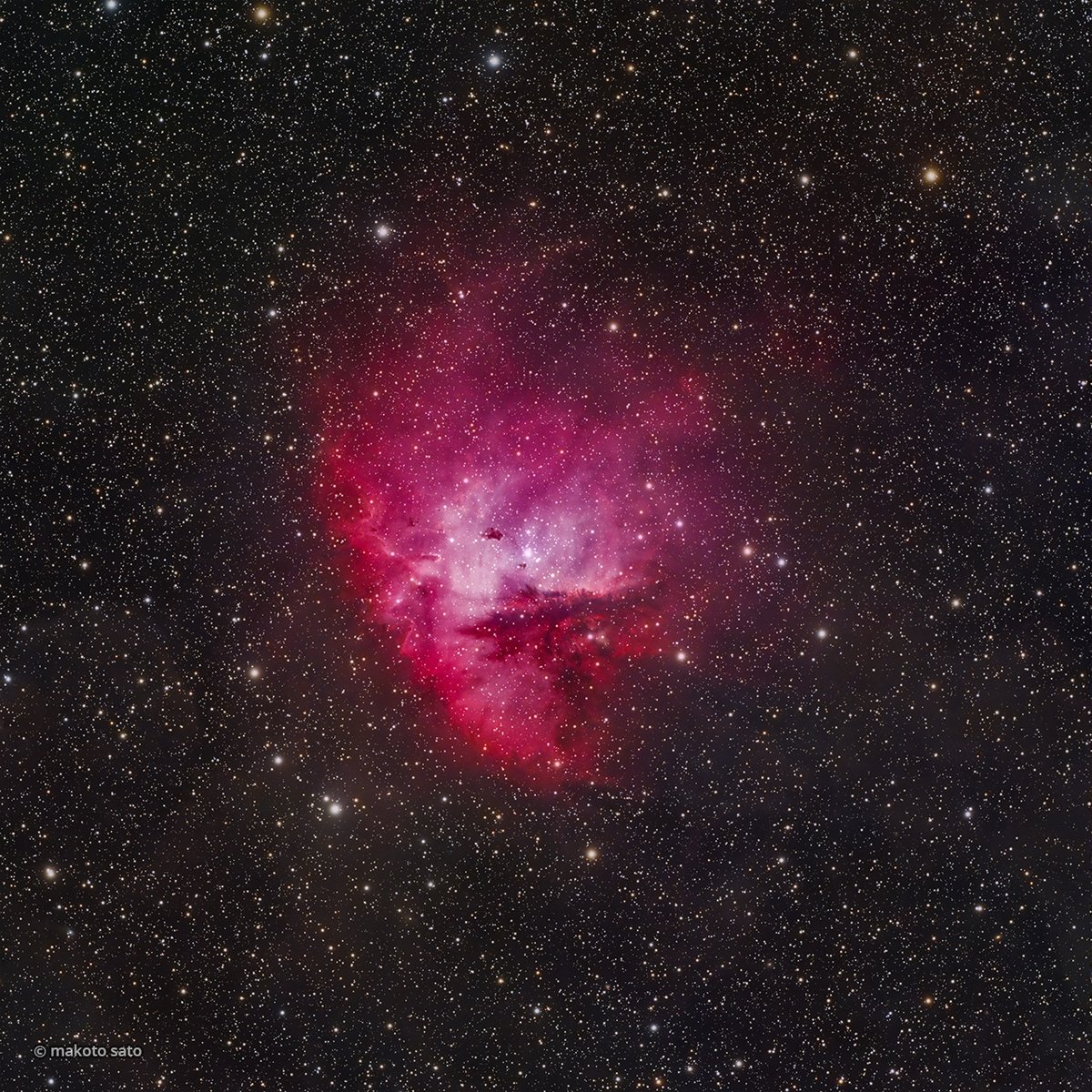 makoto (@makotosatojp) / Posts / X