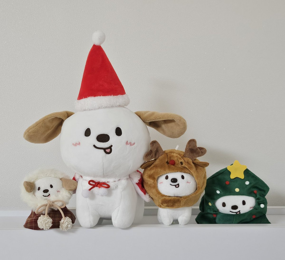미리 크리스마스 
🎄🐶*.❅·🧣⋆·˚ ༘ 🧤