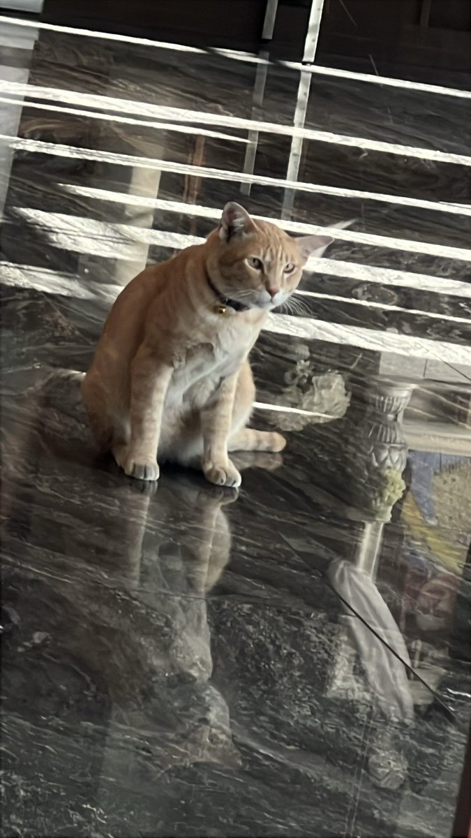 ลูกประธานบริษัท 😍🤭