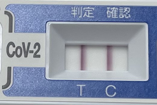 午後から寒気がすごくて、なんとか定時までは頑張ろうとしたけどダメでした。
みなさんもどうかお気をつけて😢