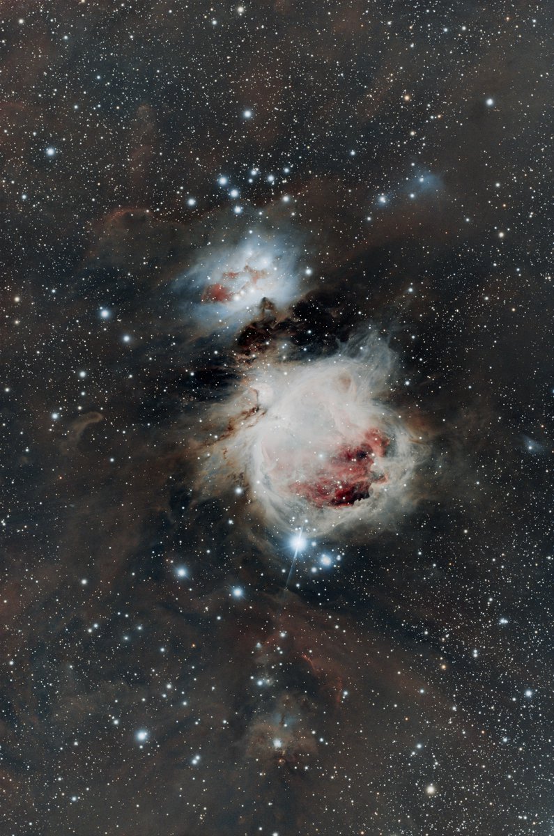 hige_photos's tweet image. オリオン大星雲
#astrography