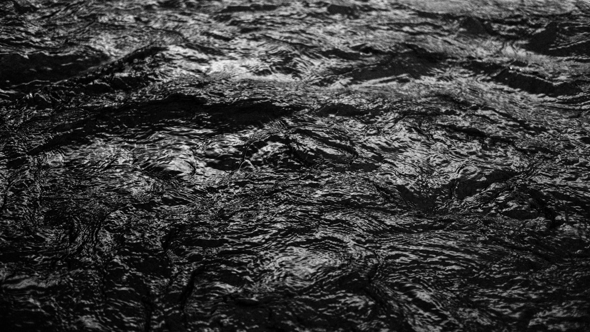 otodub's tweet photo. ((( depth. #05 )))
https://t.co/P20sKOHz8Q
12/16(tue)
open 21:55 / start 22:00
guest :
Stephane K
https://t.co/K9azzLFAo5
https://t.co/hcCFg3qwa5
dj × vj :
o․to
https://t.co/7kMrwOED9w
hypnotic,minimal,tribal,experimental,
underground techno...
#depth_vr https://t.co/iVfv43euqx
