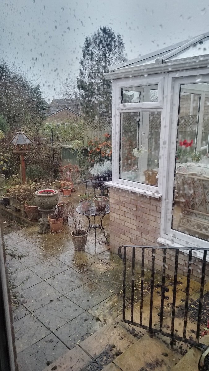 PhilsPlot's tweet image. Through the window is as close as I&apos;m getting to the garden today 🙄🌧️🌧️🌧️ #AlphabetChallenge #WeekWforWindows