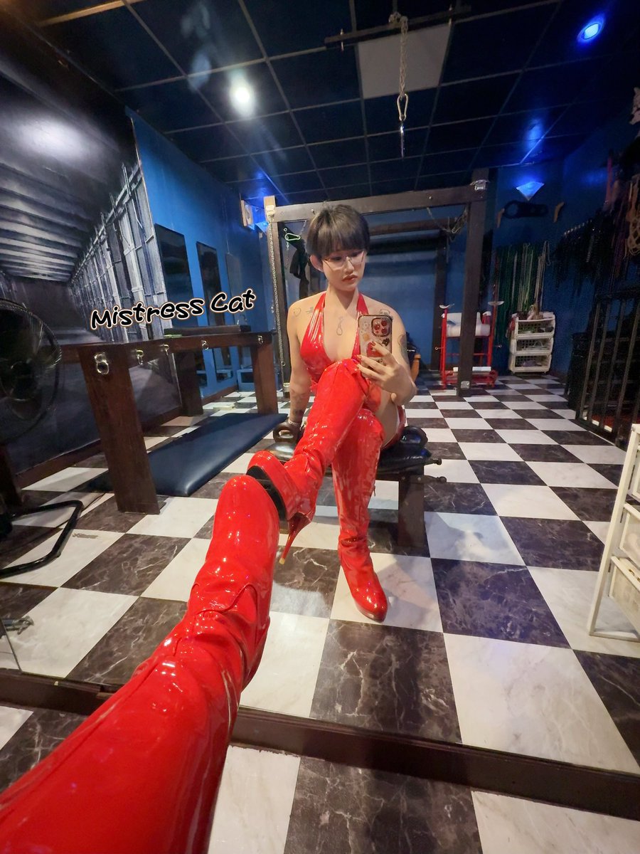 Mistresscat07's tweet image. 