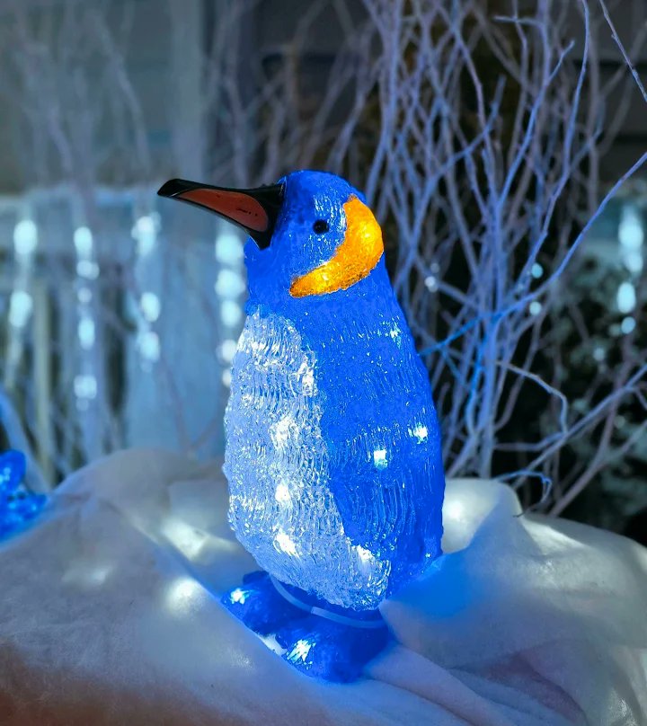 Savannah_0611's tweet image. #BlueMonday #AlphabetChallenge #WeekWforWindows