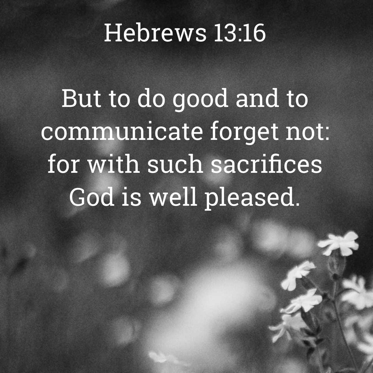 BibleManNC's tweet image. 