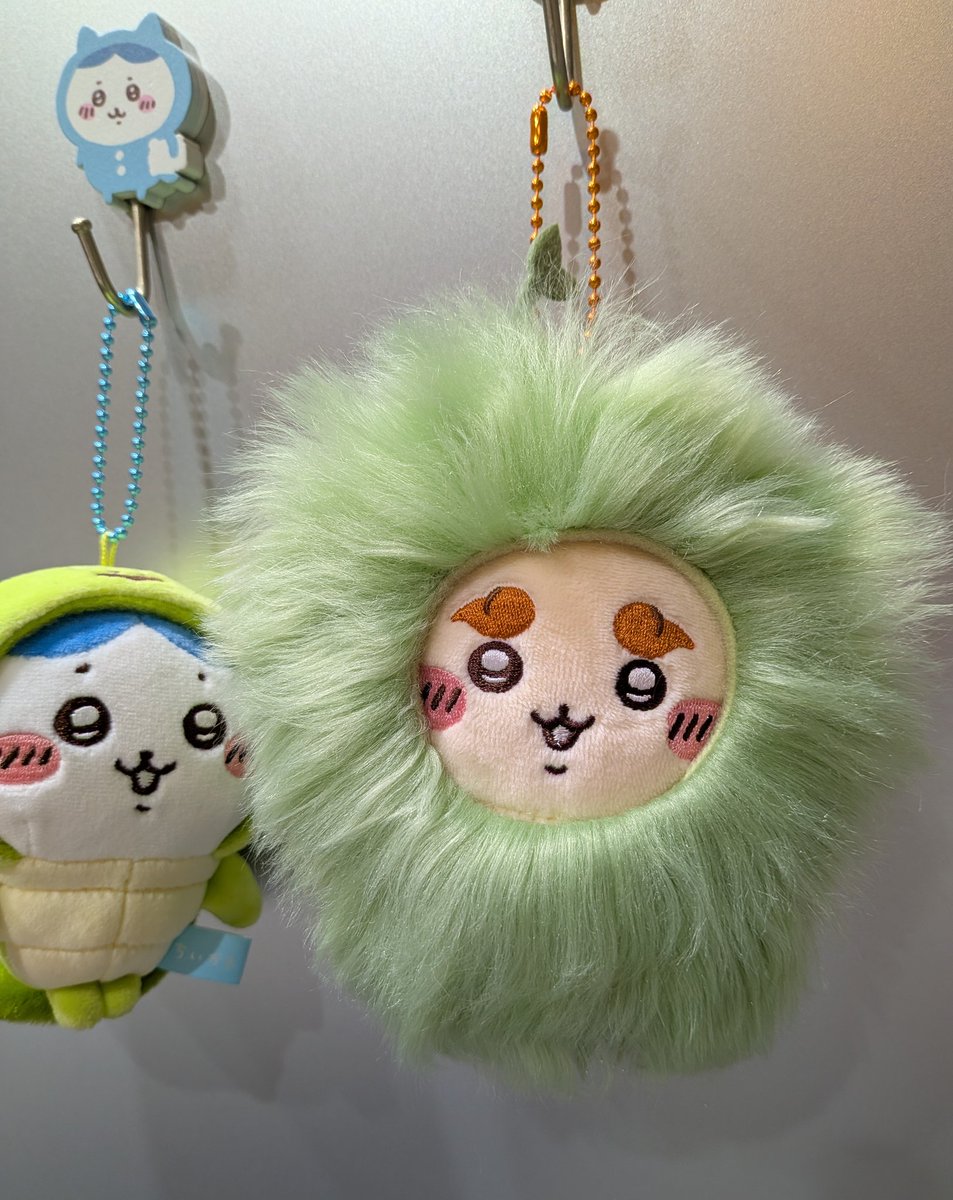 らっこ師匠 (@Chiikawa_rakko_) / Posts / X