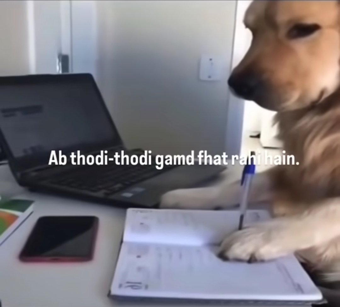 pikachiuiu's tweet image. I'm cooked chat 😍