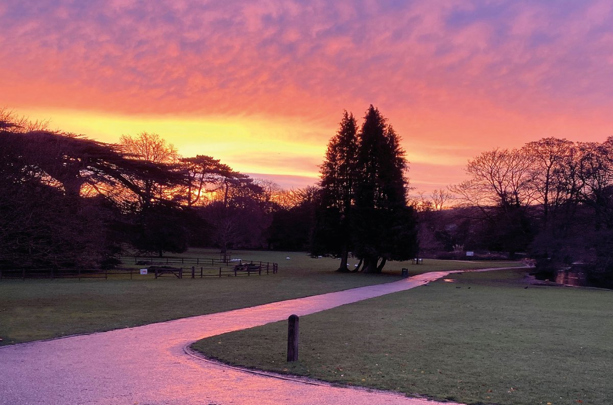 Kearsneyparks's tweet image. Today we turn the page to December 1st in the #KearsneyParks calendar. This stunning photo, taken by Lorraine Lyons, captures the trees silhouetted against a beautiful sunrise backdrop.