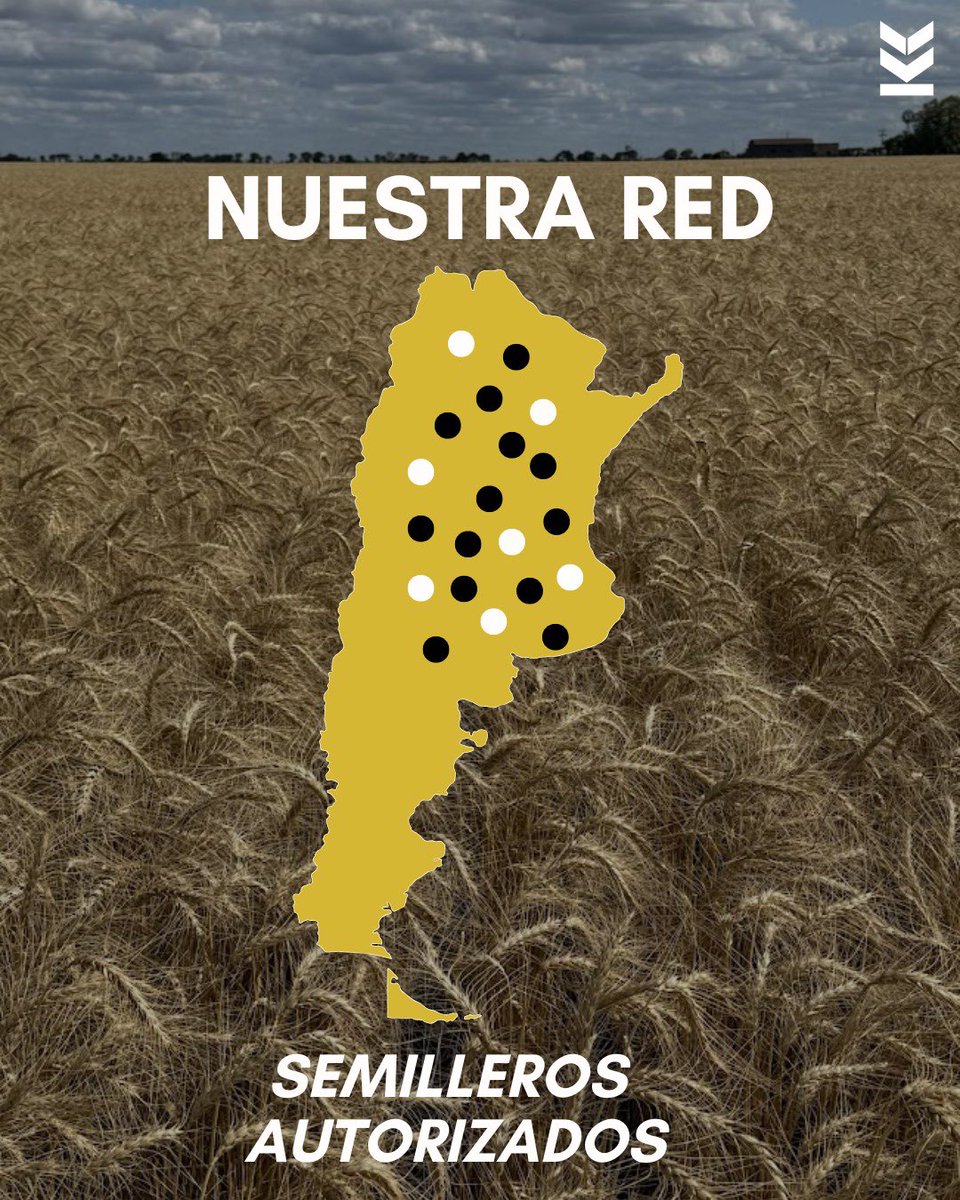 Klein Semillas tweet media