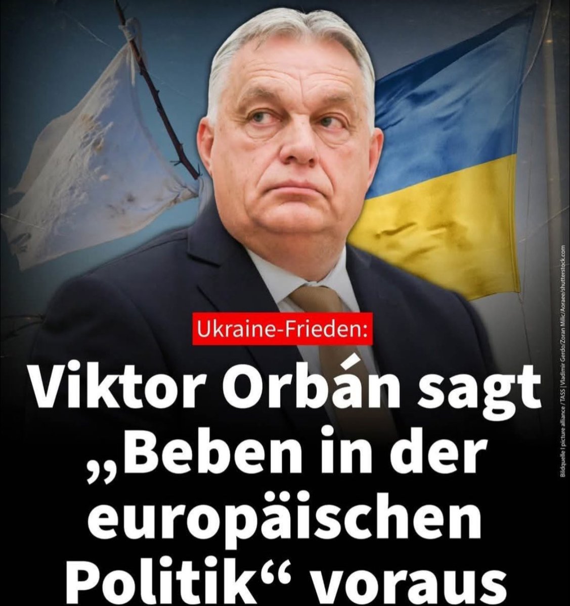 ENKELIN MÜLLER tweet media