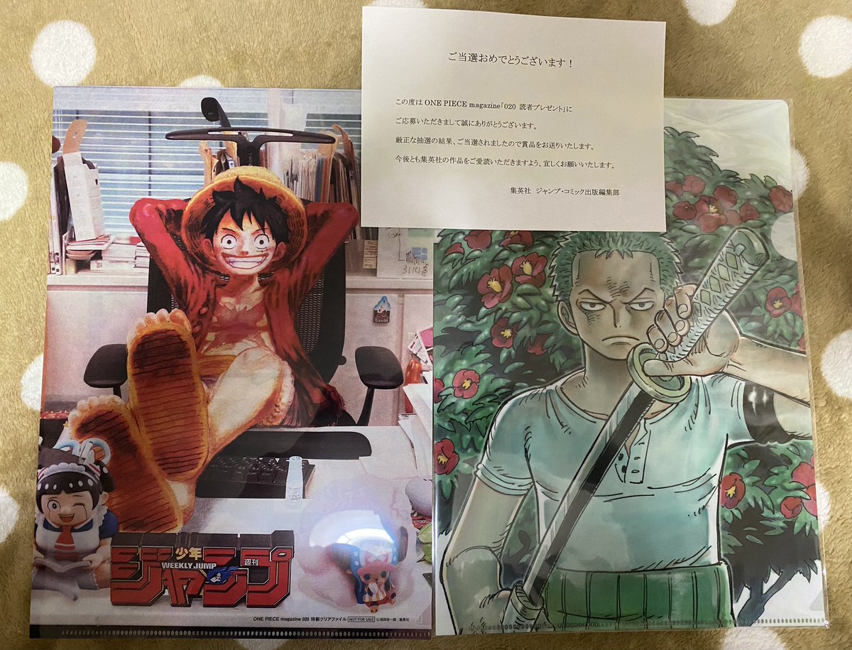 ワンピースマガジン20の特製クリアファイル前回の19に続き、当選しま