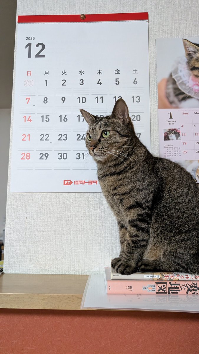 れおまろ (@leomaro315) / Posts / X