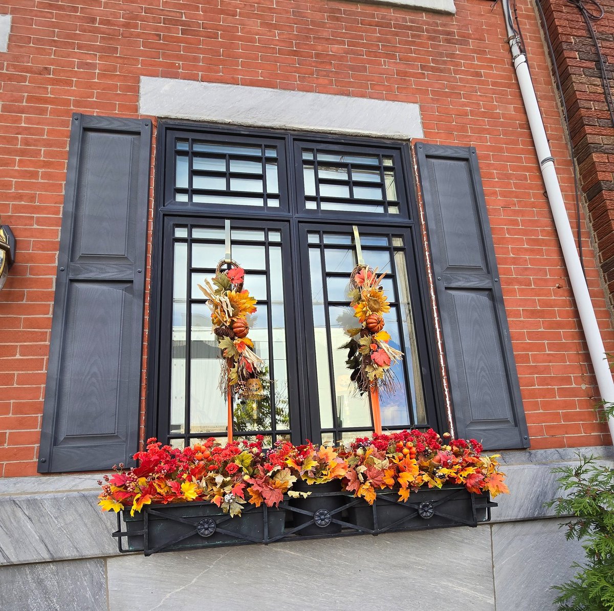 Savannah_0611's tweet image. Two early Fall throwback shots for #AlphabetChallenge #WeekWforWindows