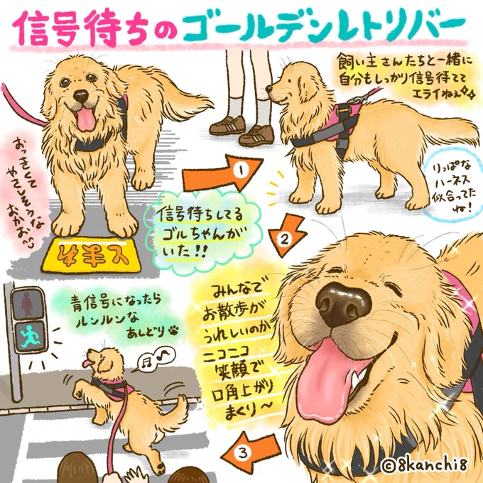 街で見かけたゴールデンレトリバーたち(1/3) 