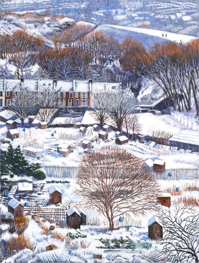 Cath Read 
Bristol based artist 
This is amazing 
Into the distance as far as the eye can see 
Winter Allotments