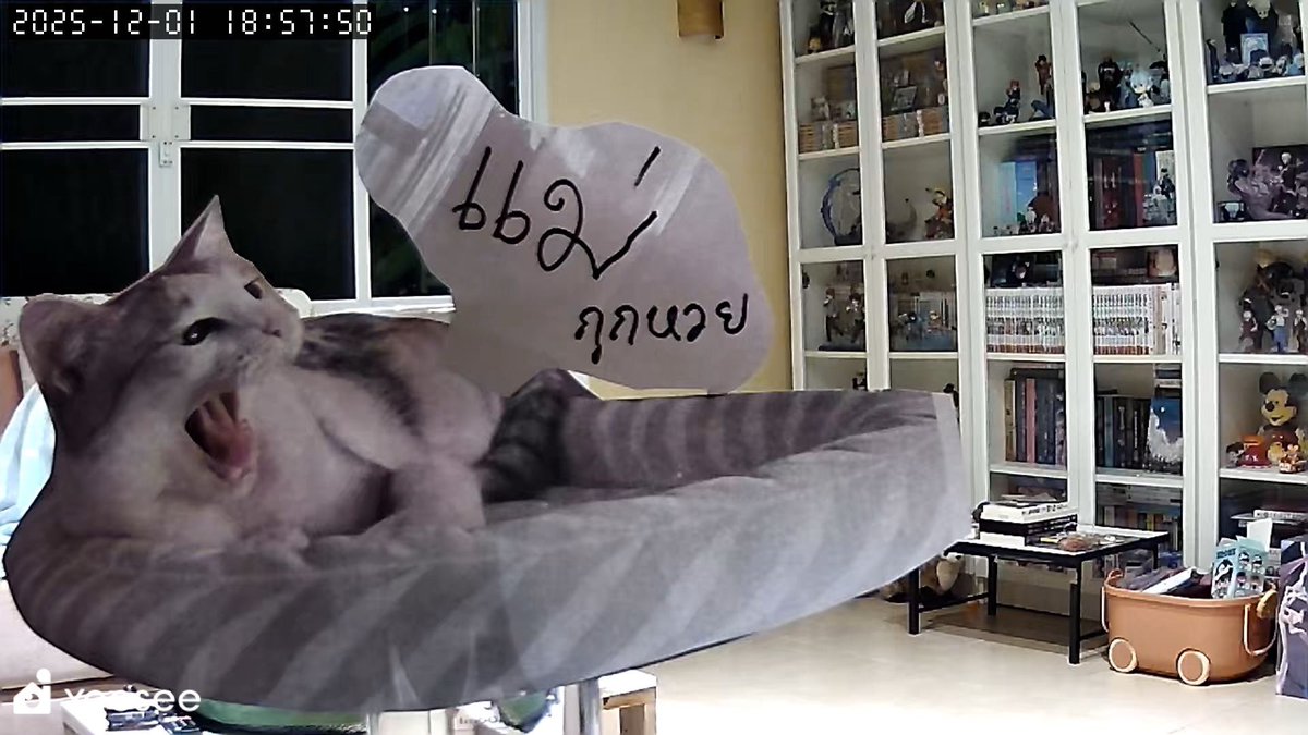 brainrotlevelxx's tweet image. แม่กูเอาอีกละ