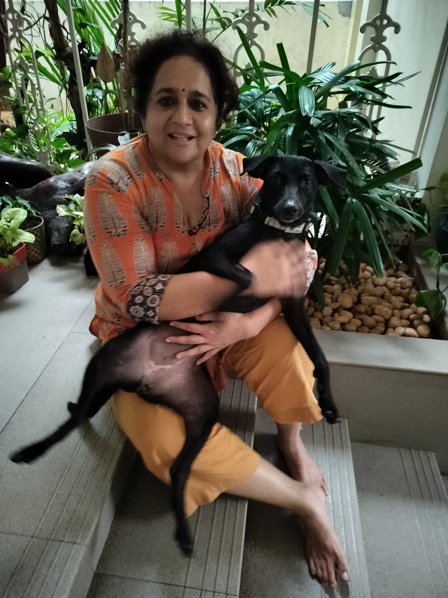 AparnaKarthi's tweet image. Friends in Chennai,this beautiful black lab mix girl dog deserves a loving home. She is neutered. Pls could you/ anybody in your network would give her a forever home? She is adorable! Literally speaks. Super friendly and  has the glossiest coat! Pls share 🙏🏽Pls DM if interested